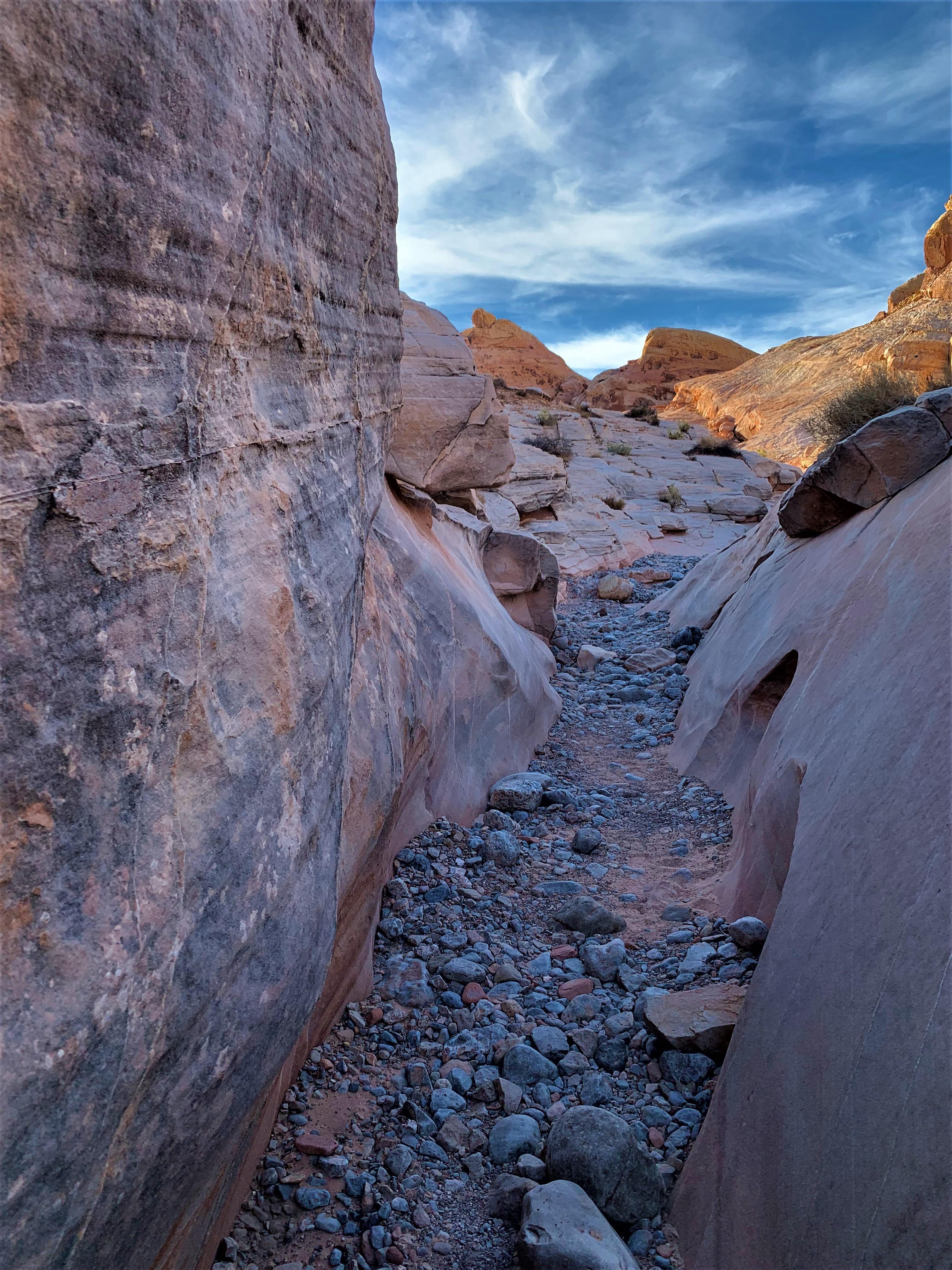 Nevada